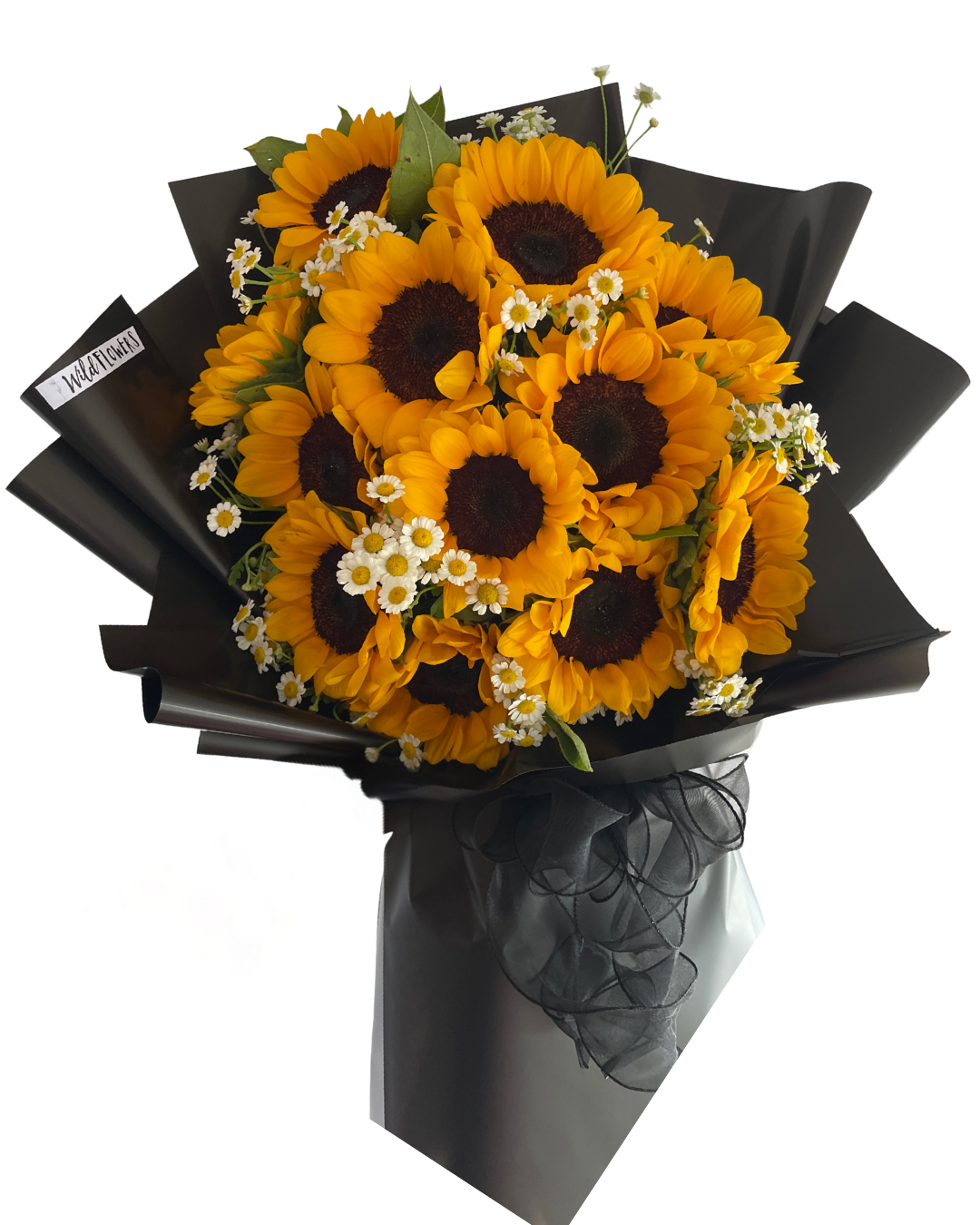 Blooming Sunshine