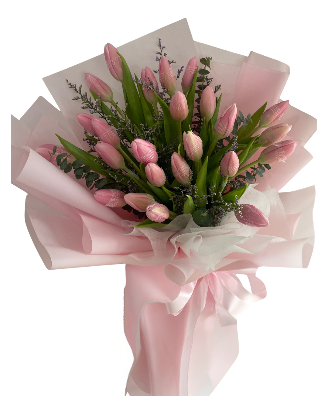 Blushing Tulips